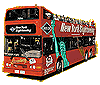 gray line bus